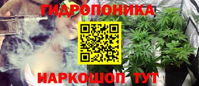 мяу мяу мука Северобайкальск