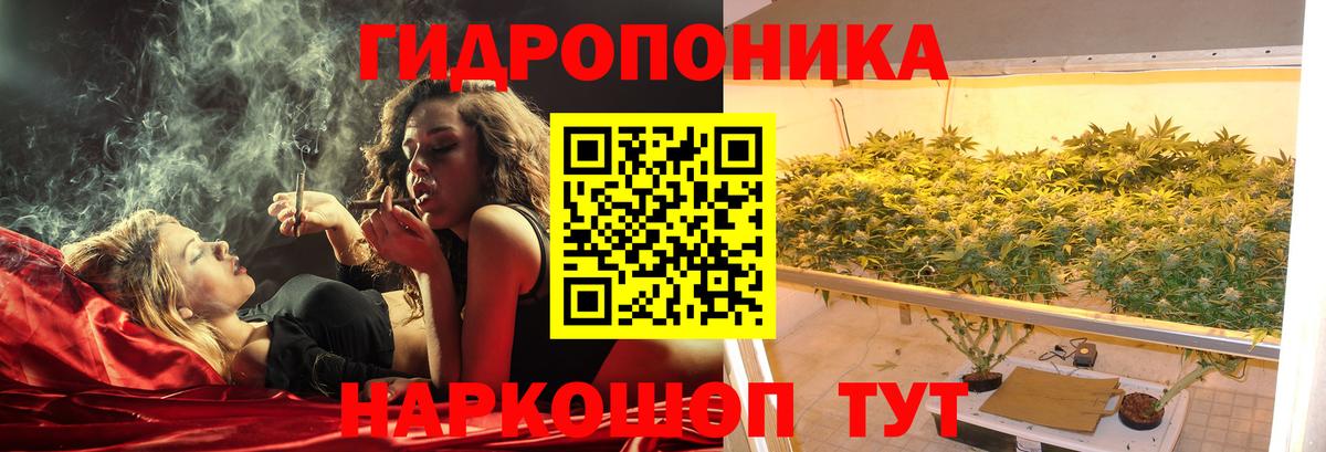 Павловский Посад  Шишки марихуана план  Вход с VPN  Канабис ГИДРОПОН  Конопля план 